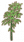 竹子03