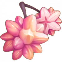 星芒果