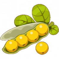 大豆