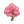 樱花树