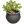 陶罐盆景