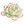 白色石莲