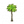 椰子树08
