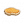 蕈珊瑚模型C