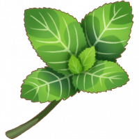 薄荷