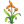 棕兰花