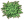 矮竹03