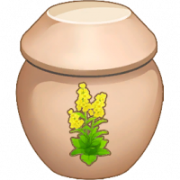 腌冬油菜