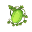大冬瓜