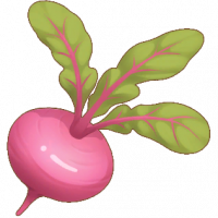 甜菜