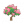 紫薇