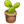 大株仙人掌盆栽