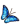 闪蝶