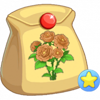 棕蔷薇不朽种子