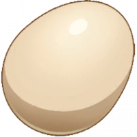 蛋