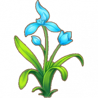 蓝兰花