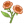 棕月见
