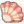 扇贝