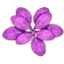 裙带菜