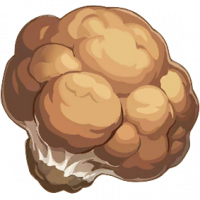 野生茯苓
