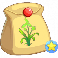 绿兰花不朽种子