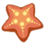红色珠链海星