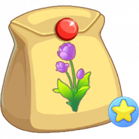 紫郁金香不朽种子