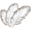 羽毛