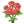 红蔷薇