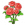 红蔷薇