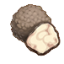 松露