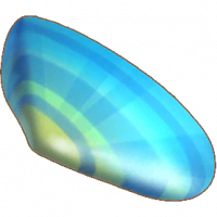 蛤蜊