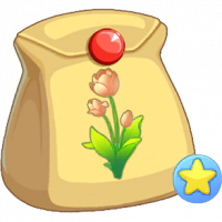 橙郁金香不朽种子