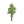 竹子01
