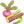 甜菜或甘蔗