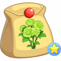 绿蔷薇不朽种子