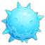 海胆