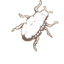 昆虫外壳
