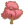 粉色大叶榕F