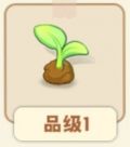 破土小芽.png
