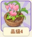 2025年5月20日 (二) 13:55版本的缩略图