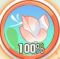 夏日荷塘.png