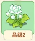 一株茉莉.png
