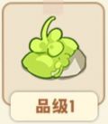 石缝草.png