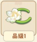 栀子花手链.png