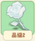 白玫瑰.png