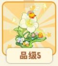 我心如花意-手信.png