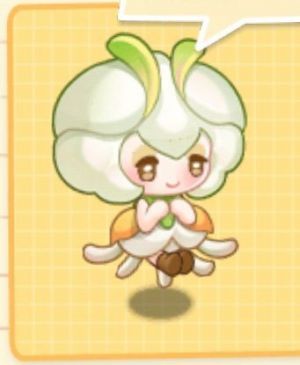 夏泽.png