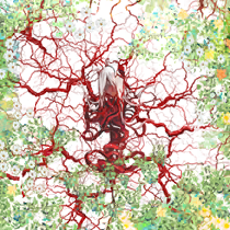 深界之母 调查归档.png