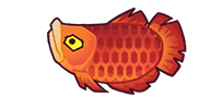 鱼灵·龙鱼·远见.png